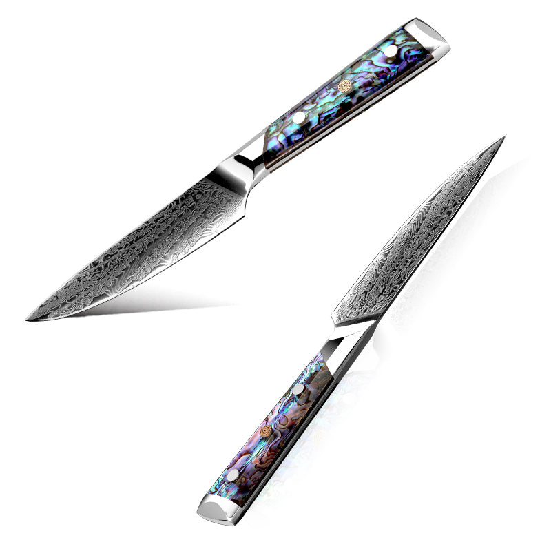 Fyn 5" Damascus Utility Knife with Abalone Shell Handle