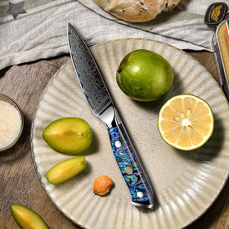 Fyn 3.5" Damascus Paring Knife with Abalone Shell Handle – Precision Control in a Compact Blade