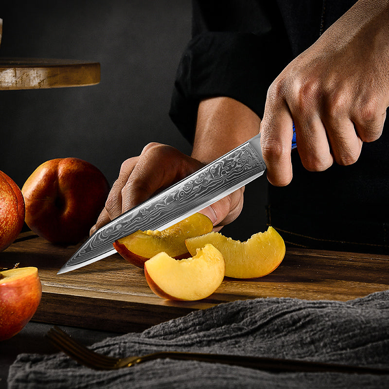 Fyn 8-Piece Damascus Knife Set – Blue G10 Handle with Razor-Sharp 67-Layer Blades