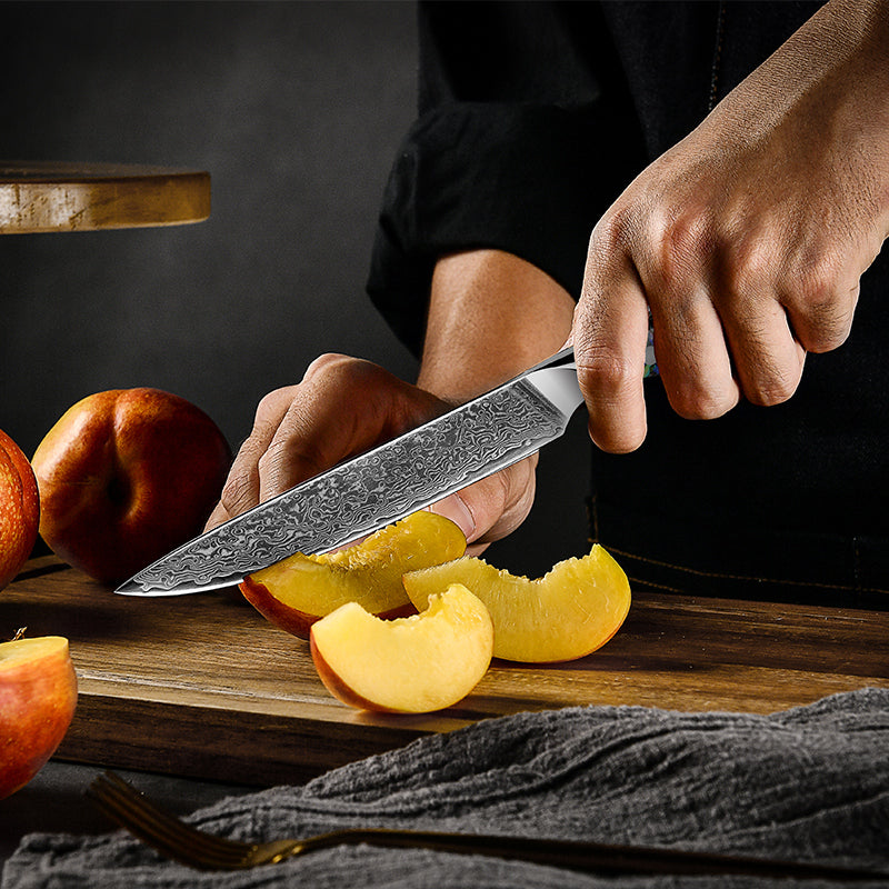 Fyn 5" Damascus Utility Knife with Abalone Shell Handle – Compact Precision with Bold Style