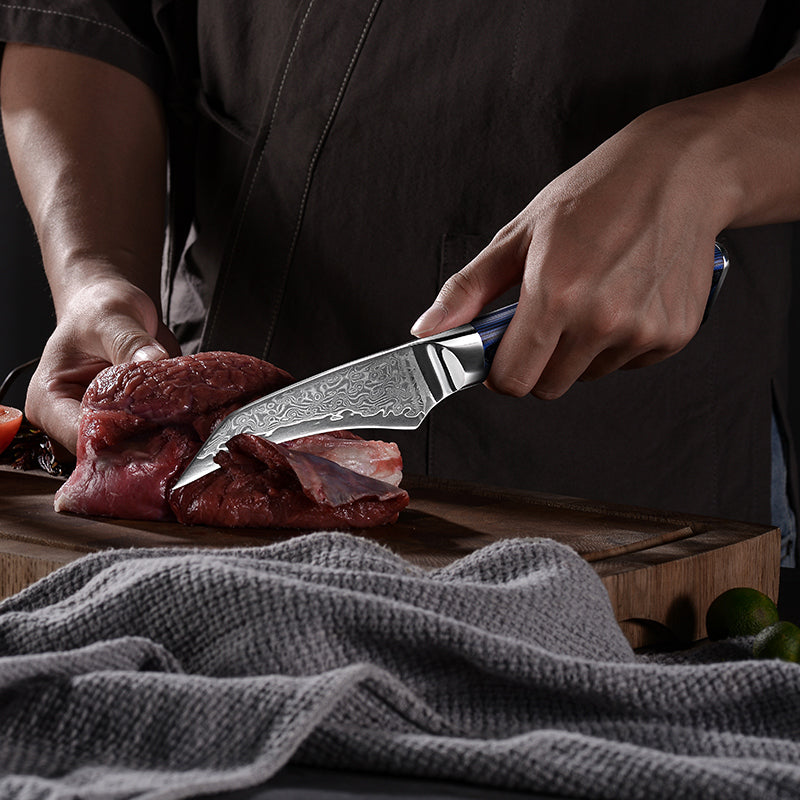 Fyn 8-Piece Damascus Knife Set – Blue G10 Handle with Razor-Sharp 67-Layer Blades