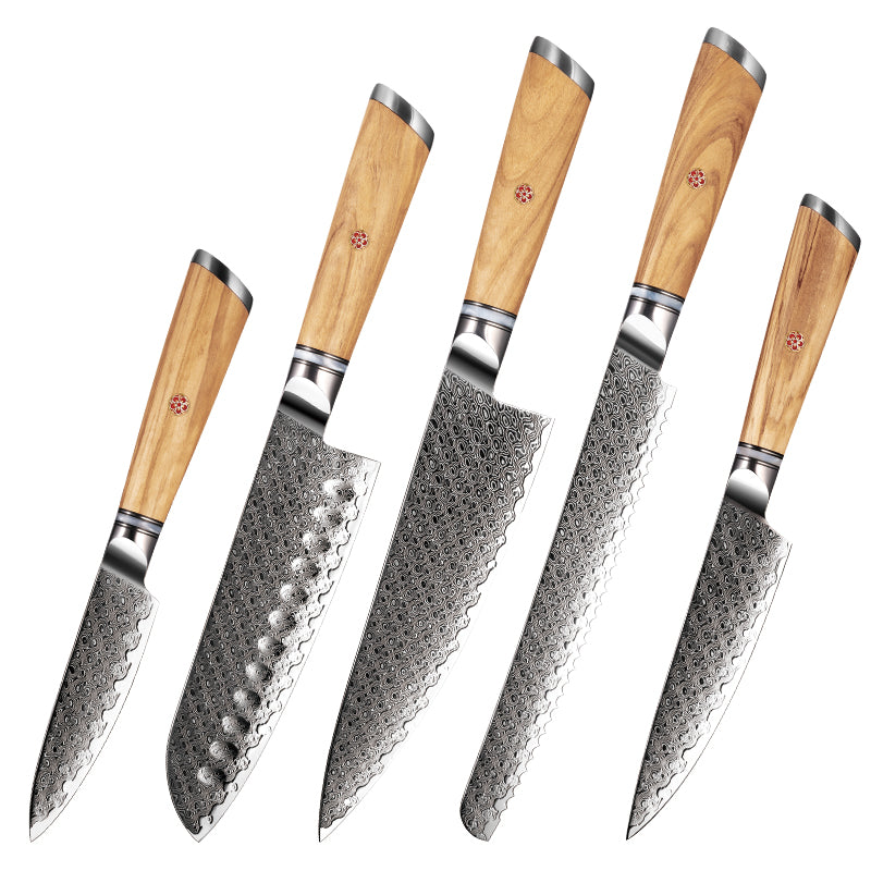 Fyn 5-Piece Damascus Knife Set – Resin & Olive Wood Handles with Razor-Sharp Blades