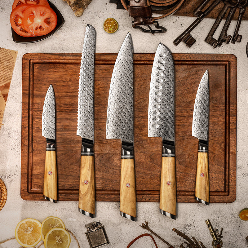 Fyn 5-Piece Damascus Knife Set – Resin & Olive Wood Handles with Razor-Sharp Blades