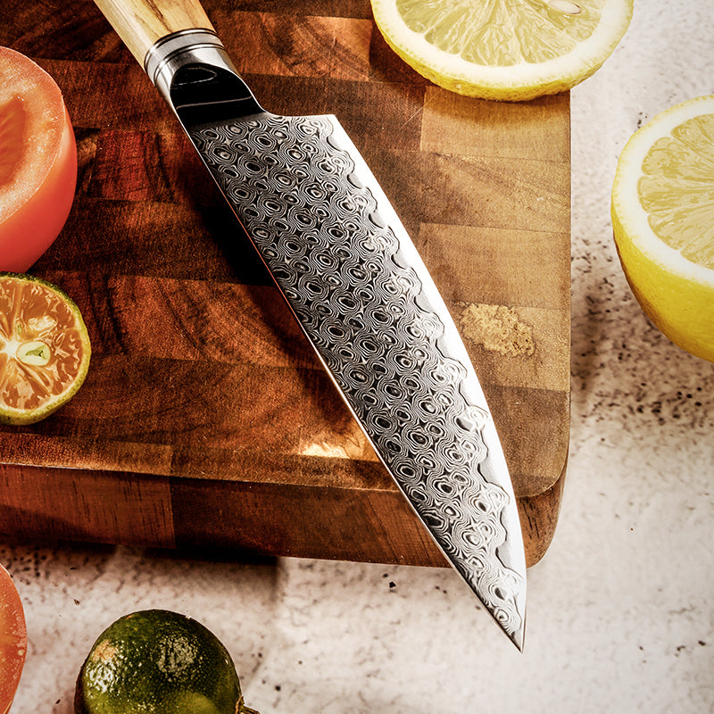 Fyn 5-Piece Damascus Knife Set – Resin & Olive Wood Handles with Razor-Sharp Blades