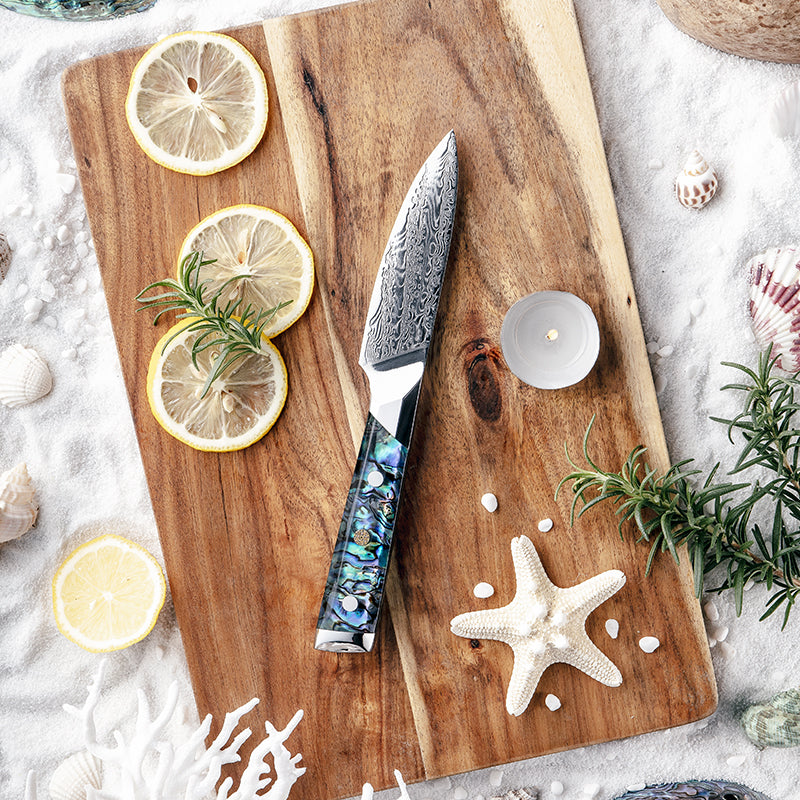 Fyn 3.5" Damascus Paring Knife with Abalone Shell Handle