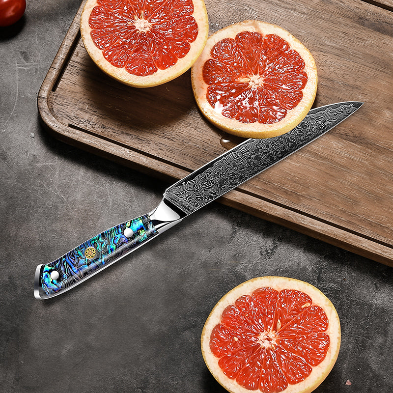 Fyn 5" Damascus Utility Knife with Abalone Shell Handle – Compact Precision with Bold Style