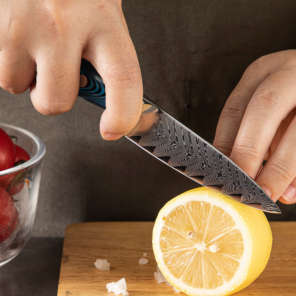 Paring Knife | Damascus Small Kitchen Knife